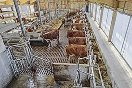 Preview image for the news article about the Herrmann farm.