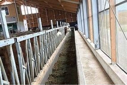 Preview image for the news article about the Scheiner farm