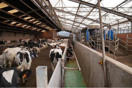 Preview image for the news article about the Laennen farm in Belgium.