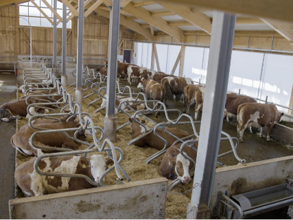 Preview image for the news article on the Hermann farm