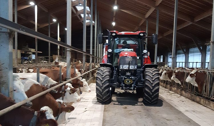 Automatische Fütterung - Vorteil Kein Schmutz im Stall